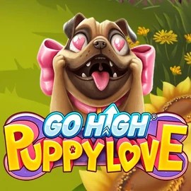 game logo by RubyPlay on rollxos.com.de